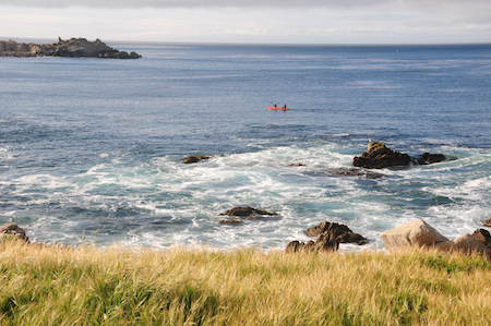 Sea for Yourself Kayak Sea for Yourself Kayak